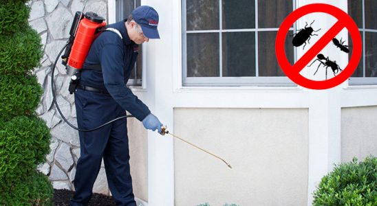 Gümüldür Bit İlaçlama böcek ilaçlama ve haşere kontrolü — ilaclama-tr.com